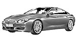 BMW F06 U300A Fault Code